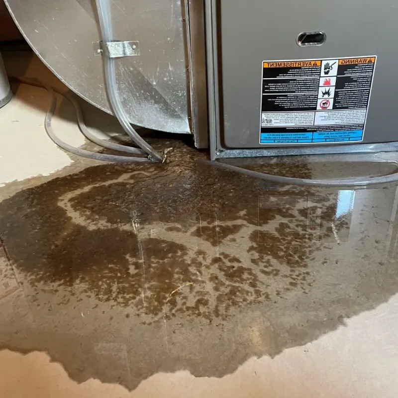 Pipe Burst and Leak Restoration in North Atlanta, GA
